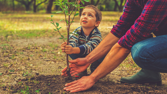 finvesto Depot erklärt Erklärvideo des finvesto Depots