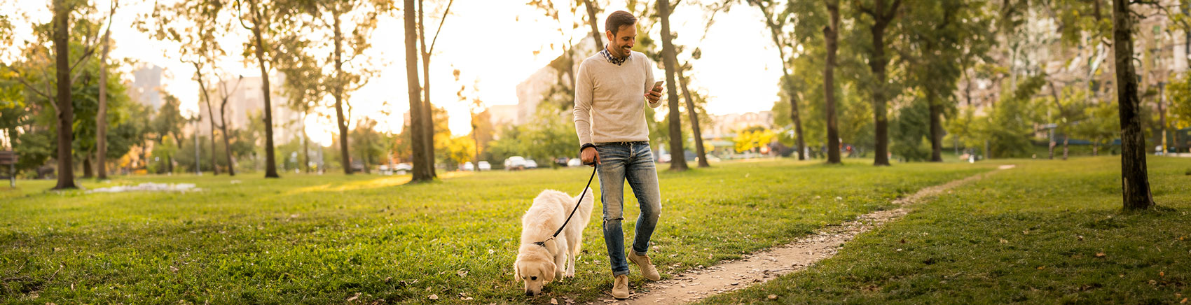 Mann geht mit seinem Hund in einem Park spazieren