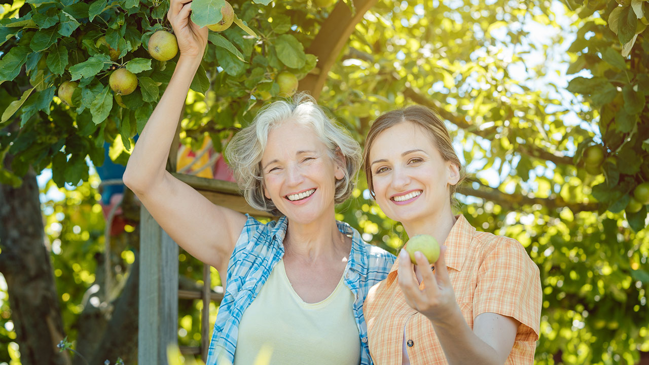 Mutter und Tochter pflücken gemeinsam Äpfel